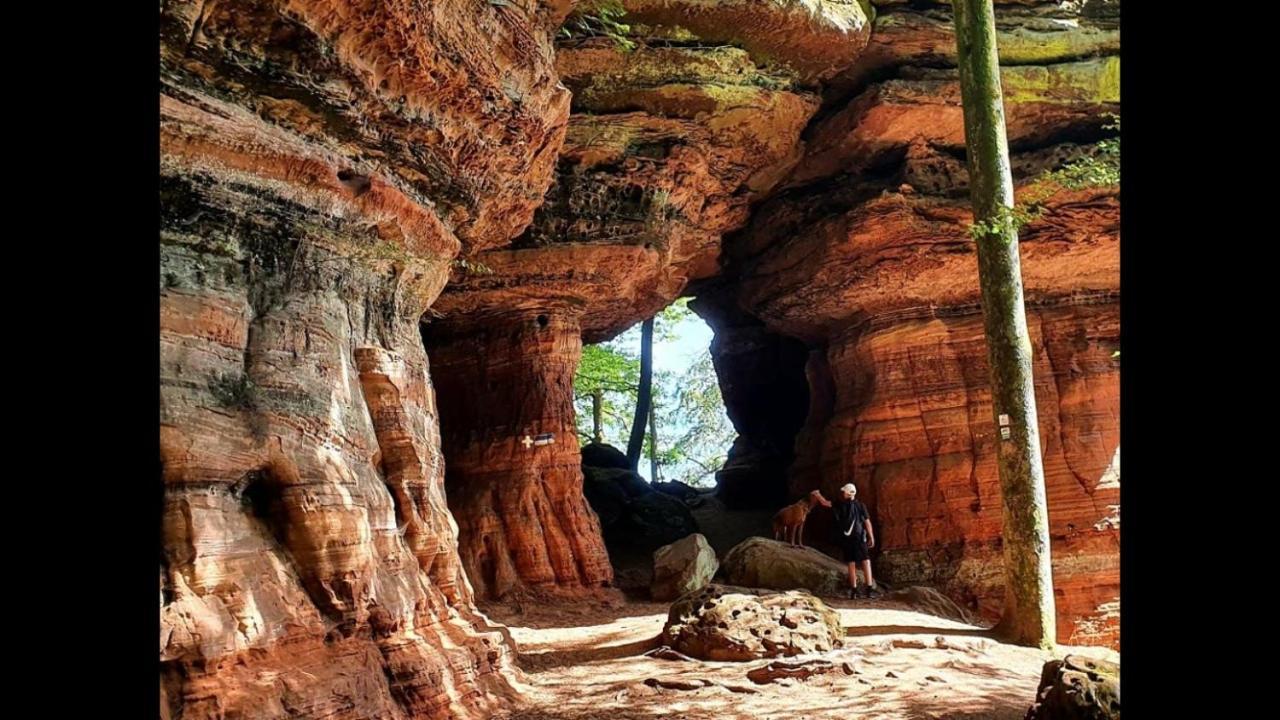 La Petite Halte Villa Lemberg Eksteriør bilde